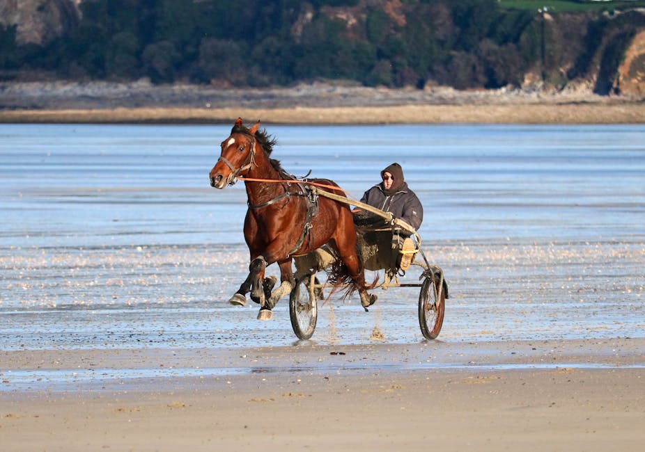 A man rides a horse-drawn carriage on the sandy beach of Granville, Normandie, France.
